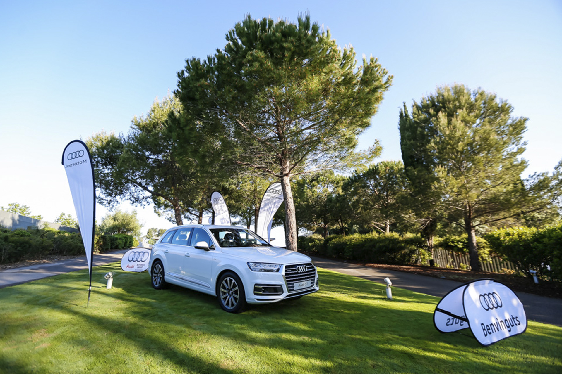 Audi quattro Cup - Pasion por el Golf